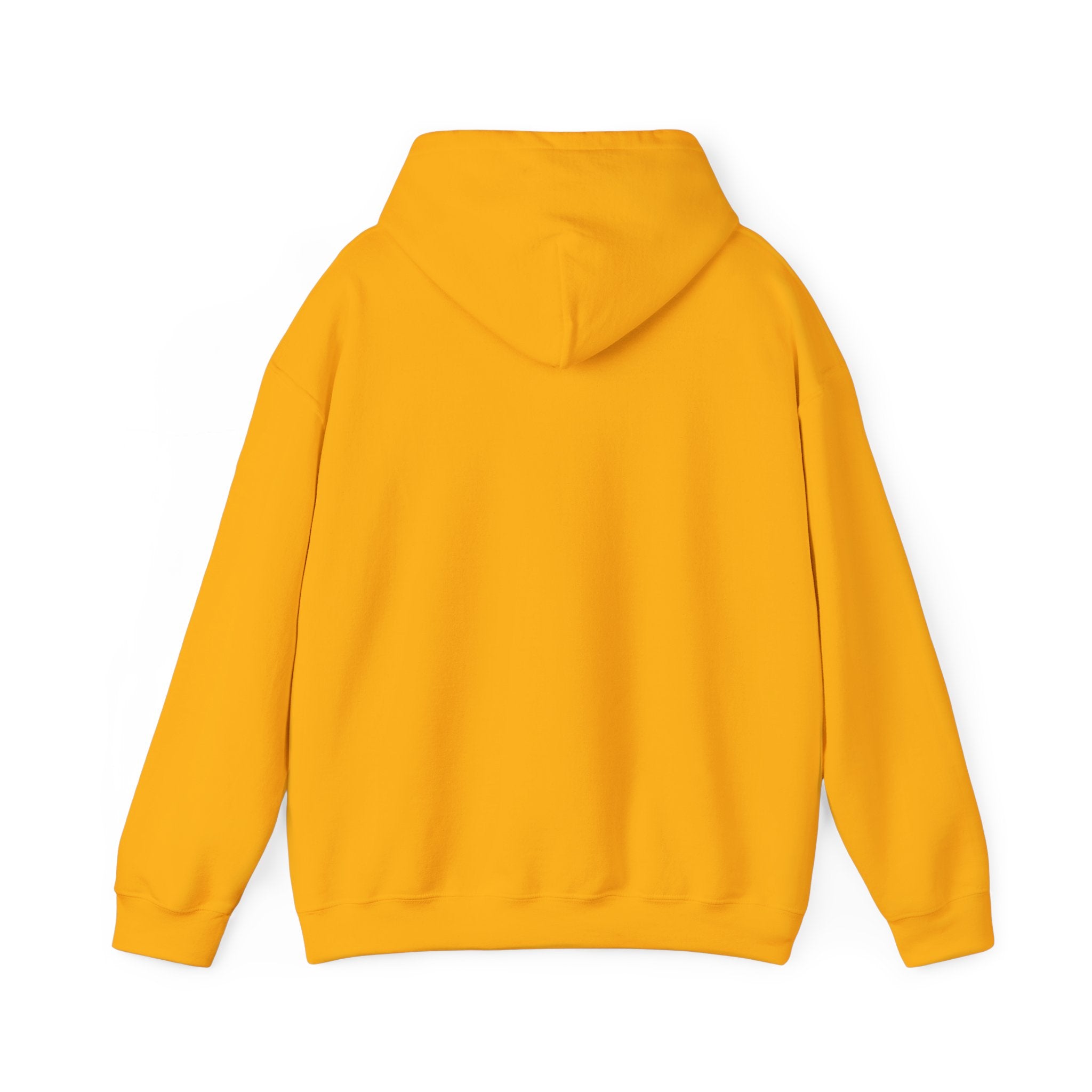 Ghost Cat Chaos – Halloween Cat-Themed Hoodie