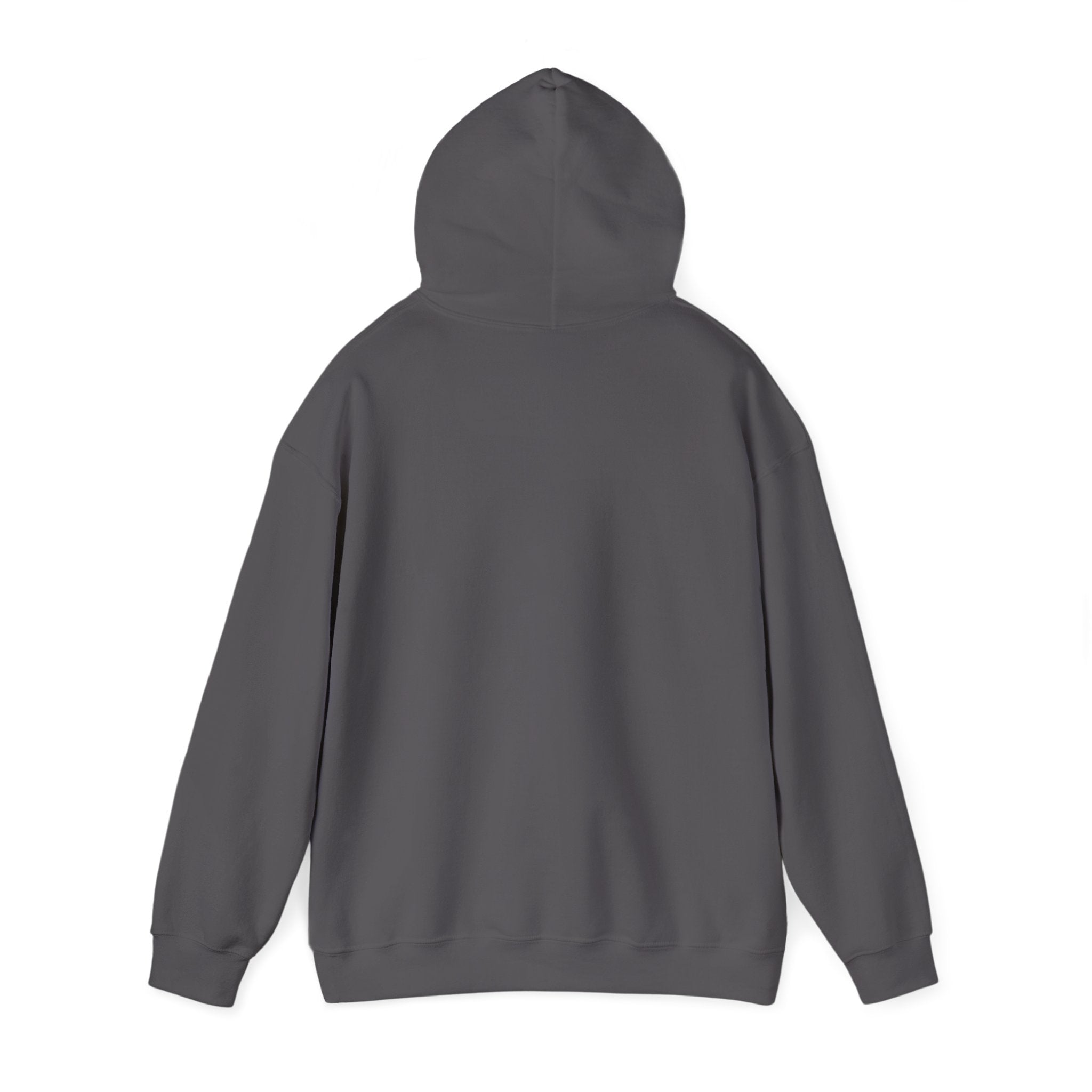 Spooky Varsity – Halloween Cat-Themed Hoodie