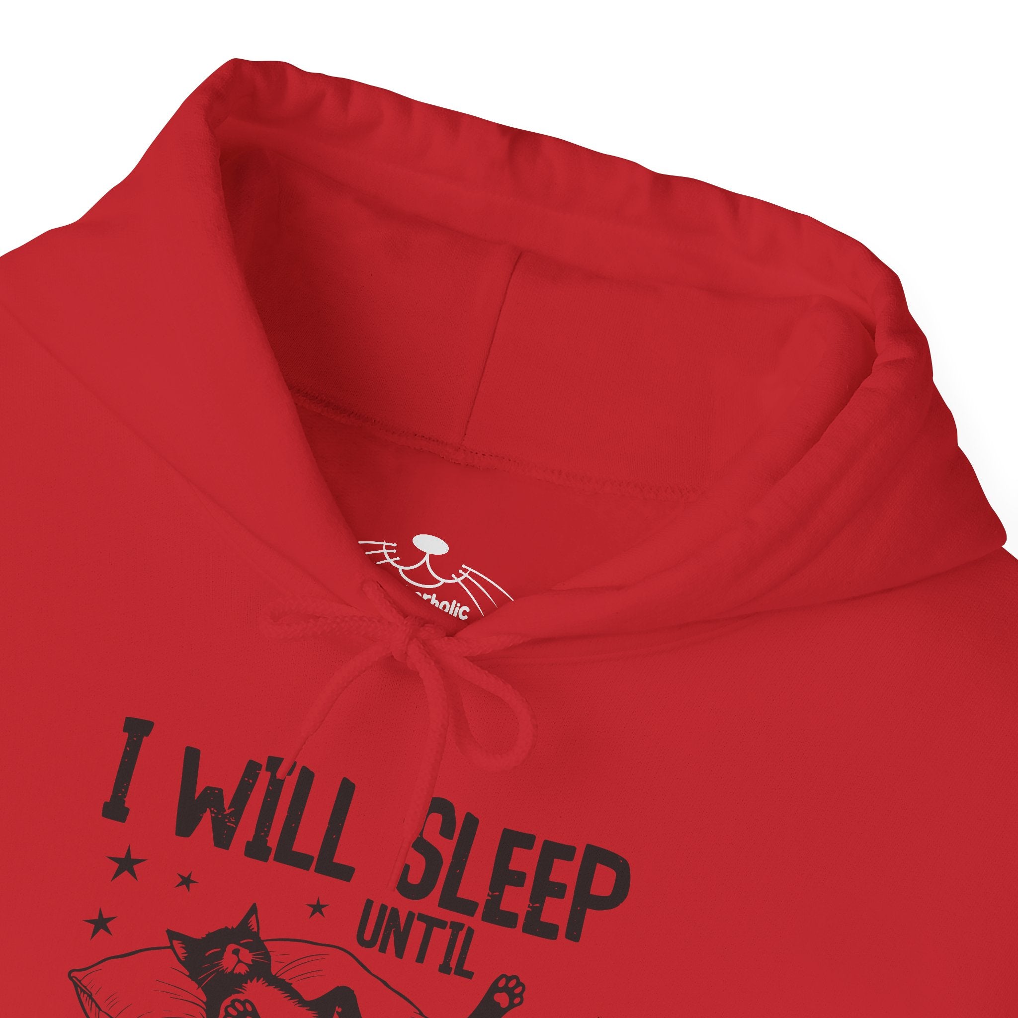 Sleep It Off Cozy Cat-Themed Hoodie