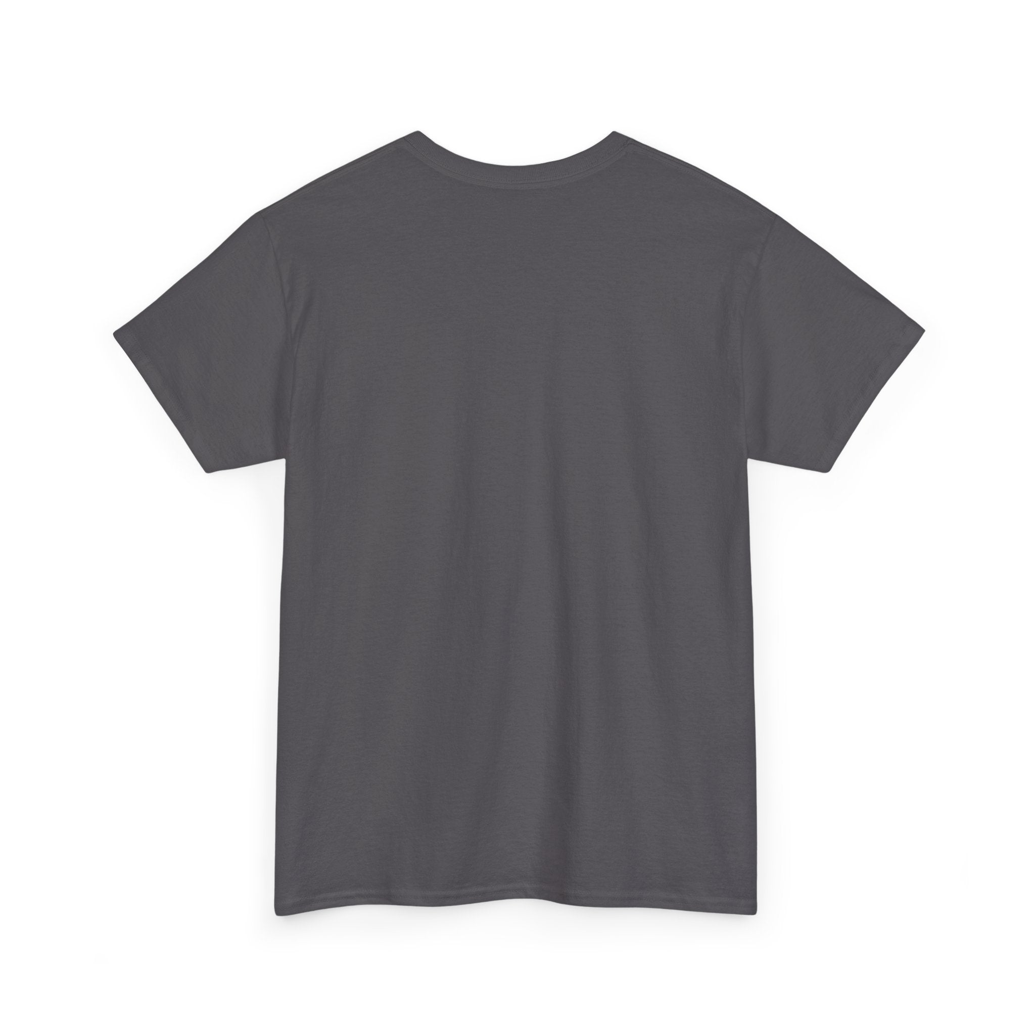 In My Cat Mom Era T-Shirt