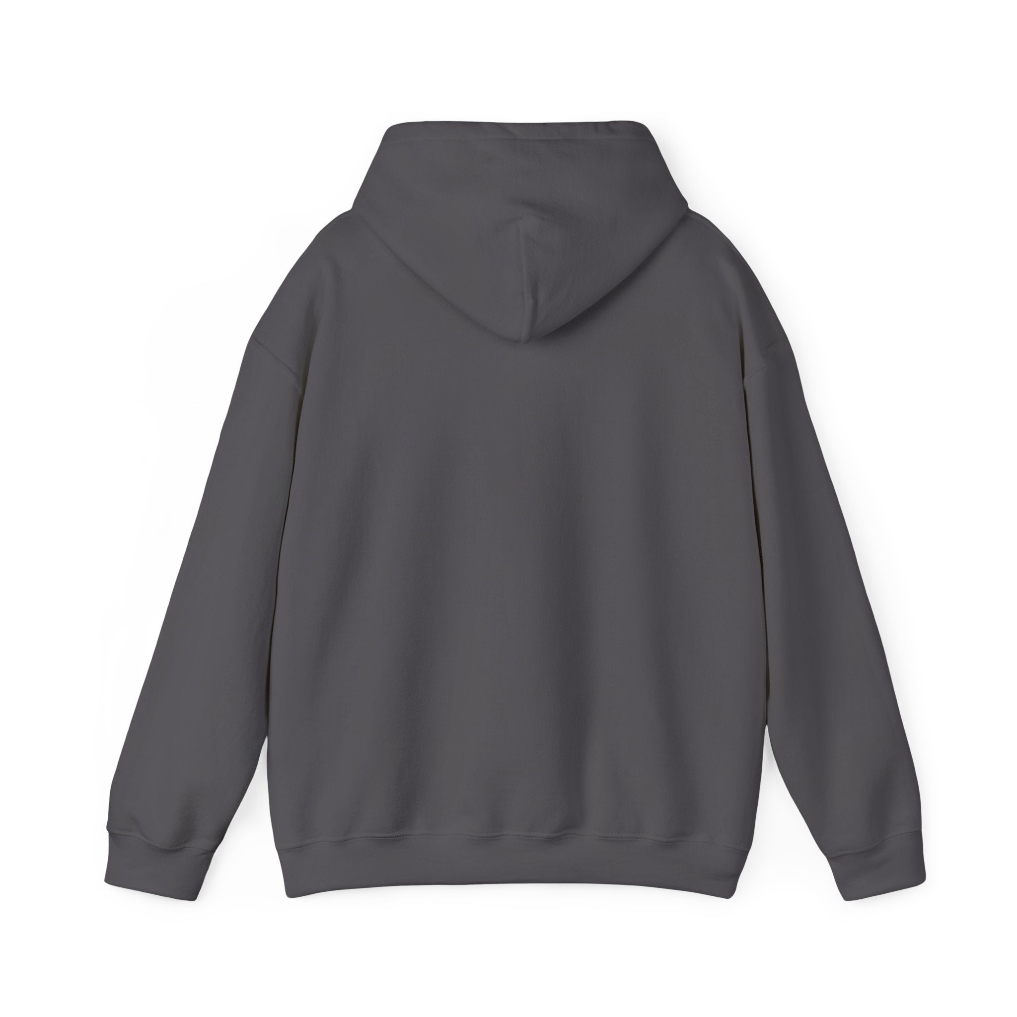 Ghost Cat Chaos – Halloween Cat-Themed Hoodie
