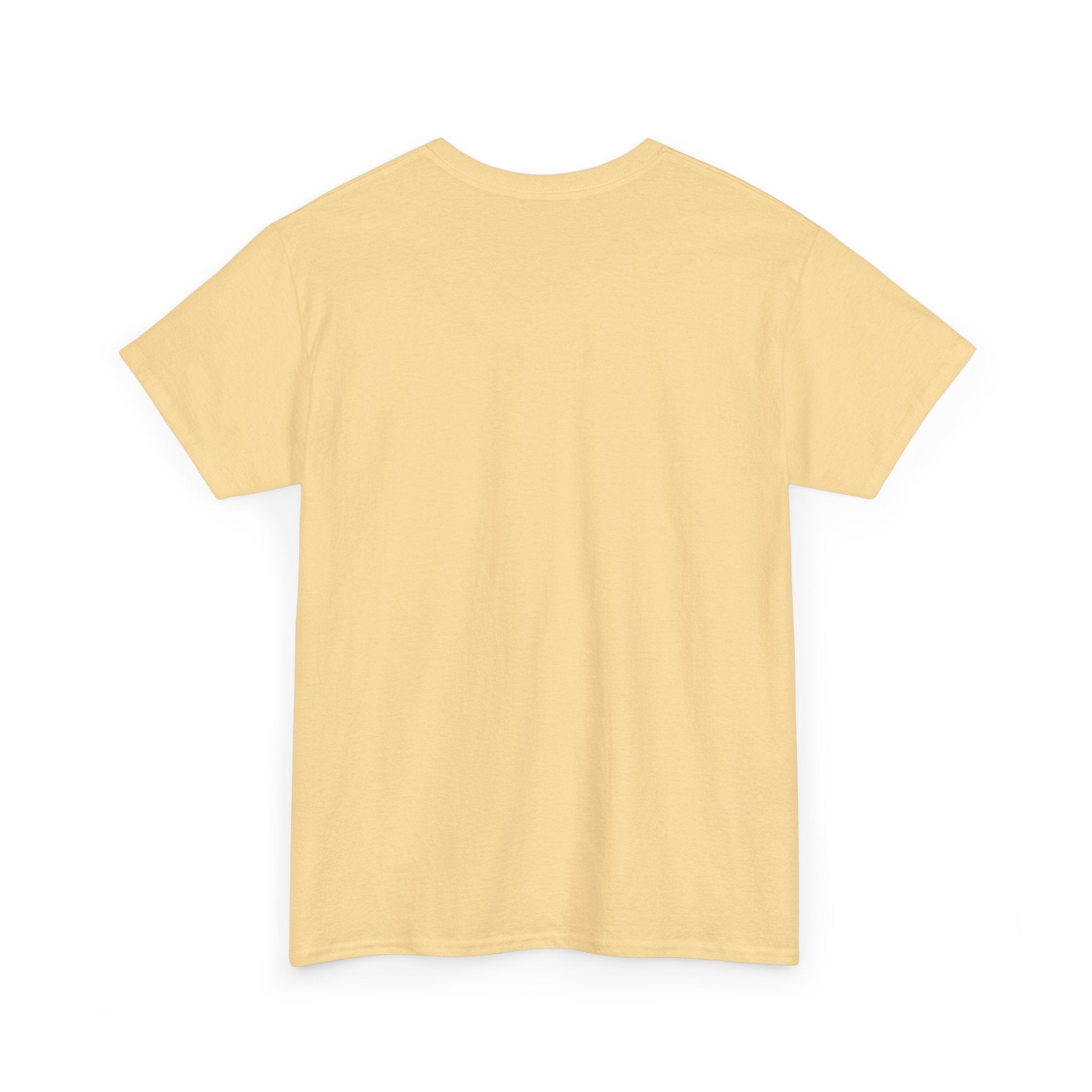 Color Me Crazy Cat Lady T-Shirt