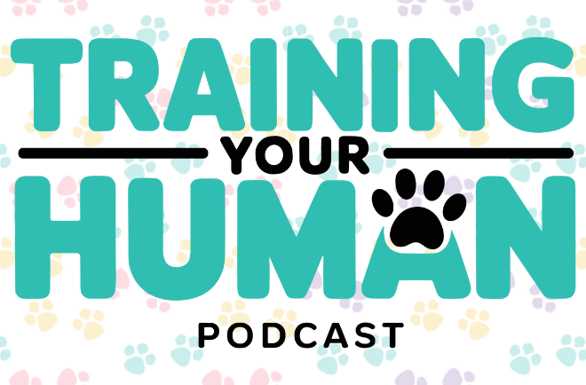 Training Your Human Podcast
