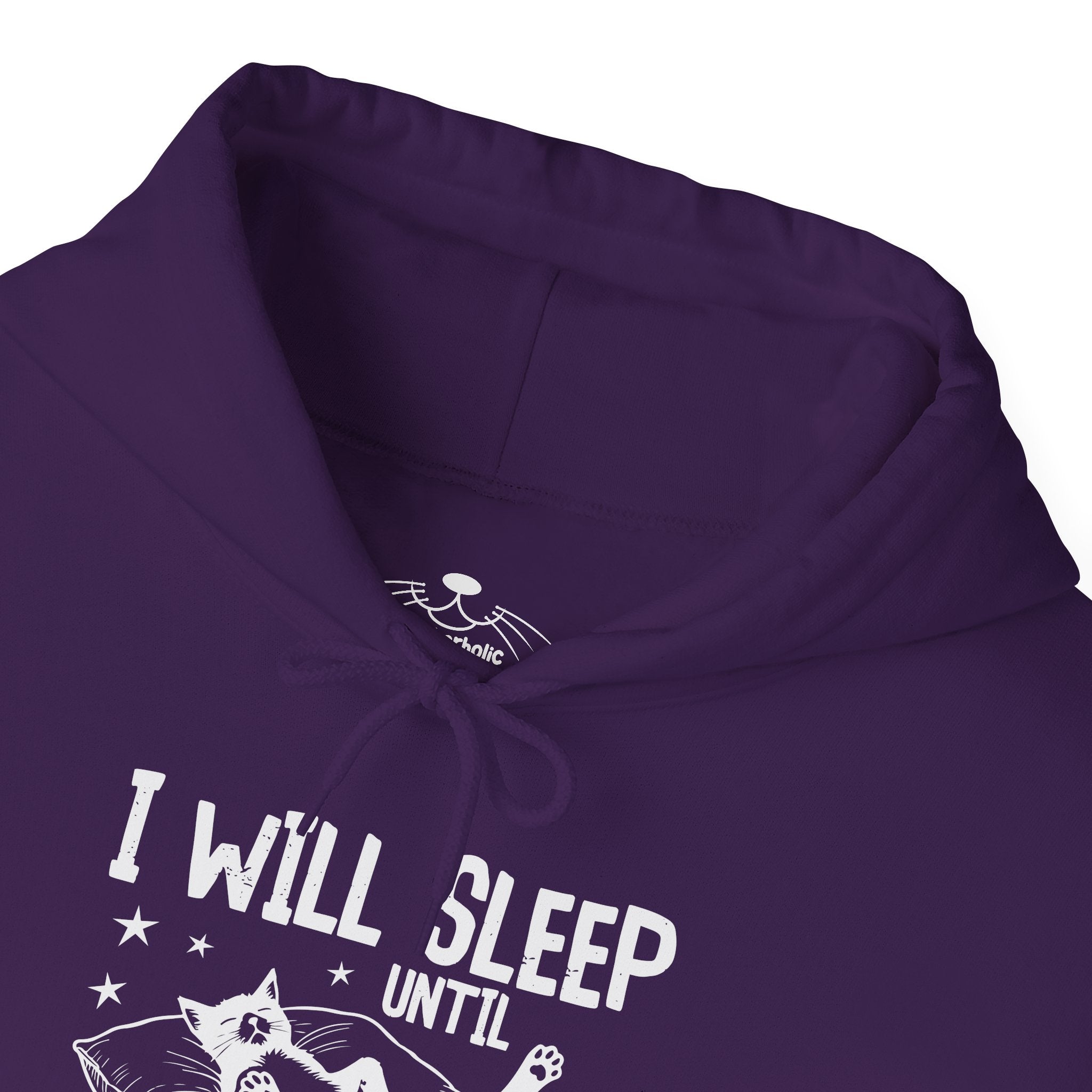 Sleep It Off Cozy Cat-Themed Hoodie