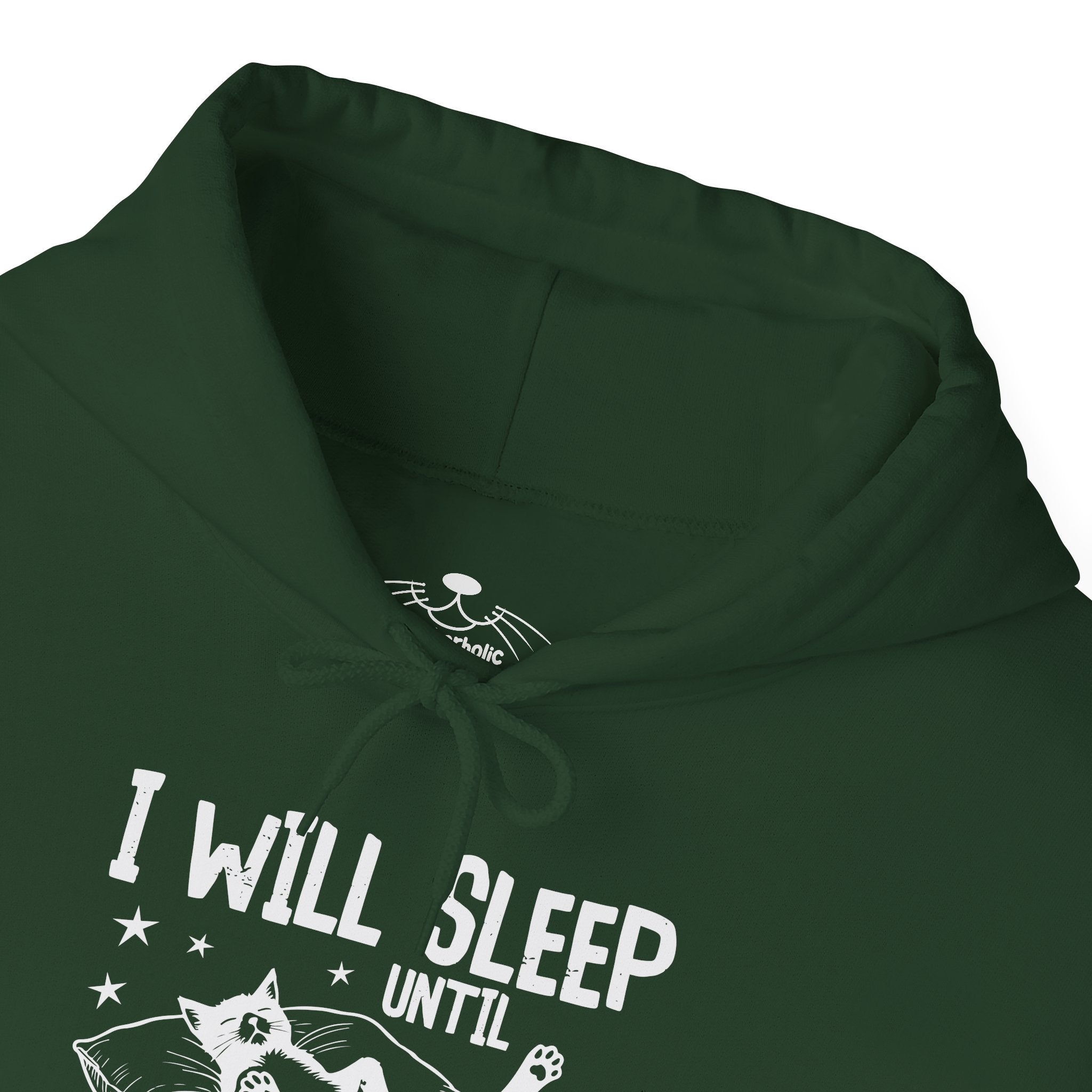 Sleep It Off Cozy Cat-Themed Hoodie