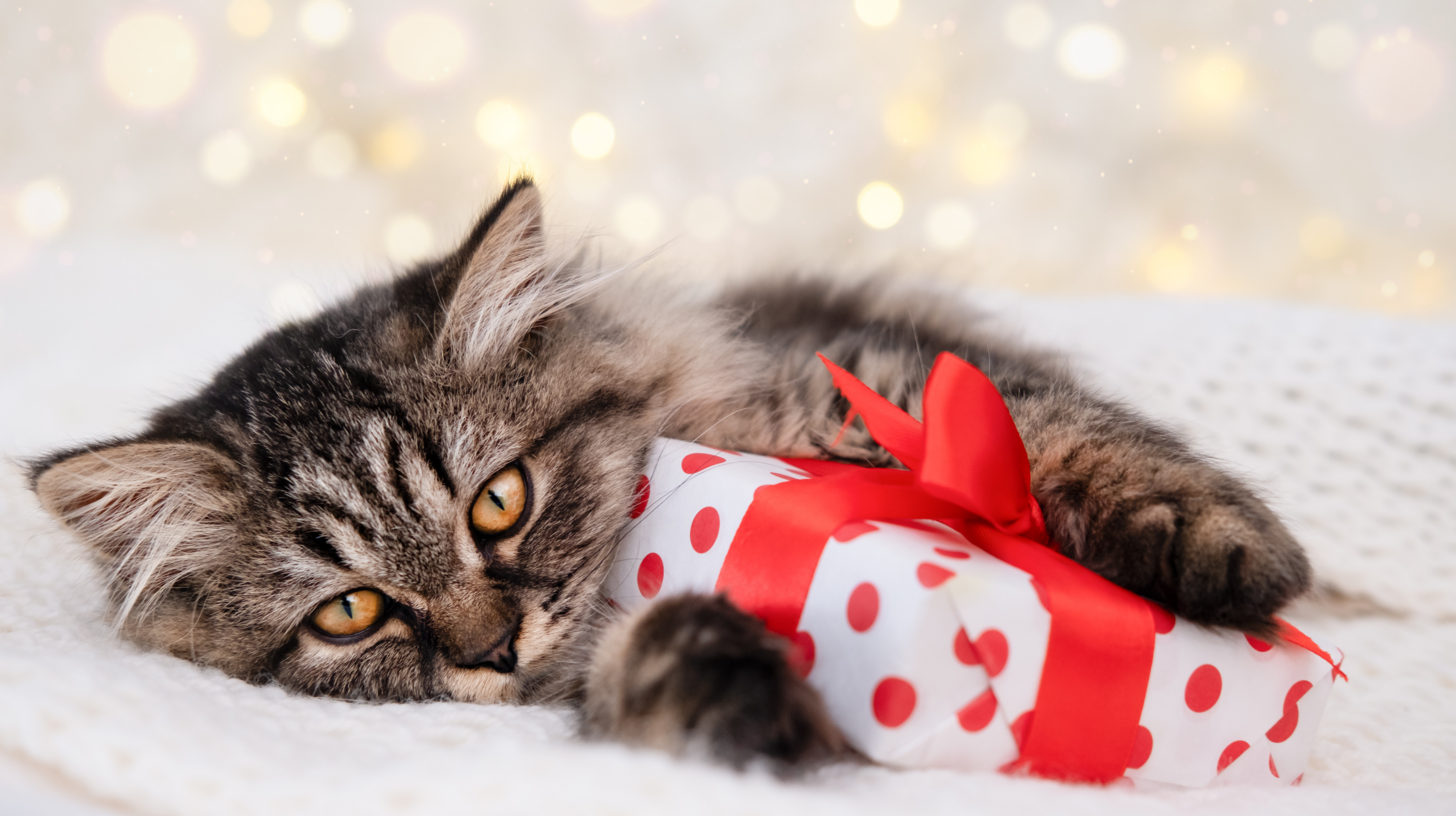 Gift-Ready Goodness